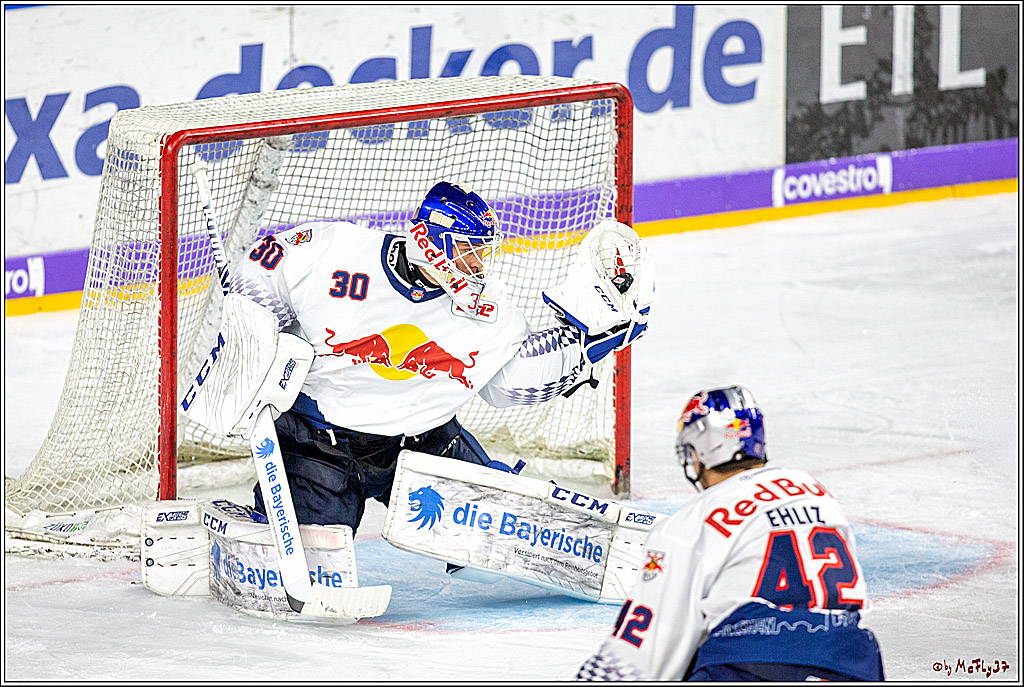 DEL;  Koelner Haie - EHC Red Bull Muenchen; Koeln, 02.02.2020